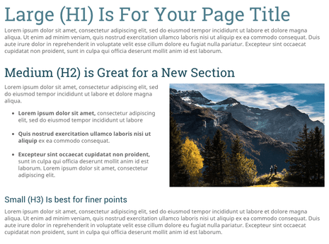 Überschriften in drei Größen (H1, H2, H3) gliedern eure Webseite.