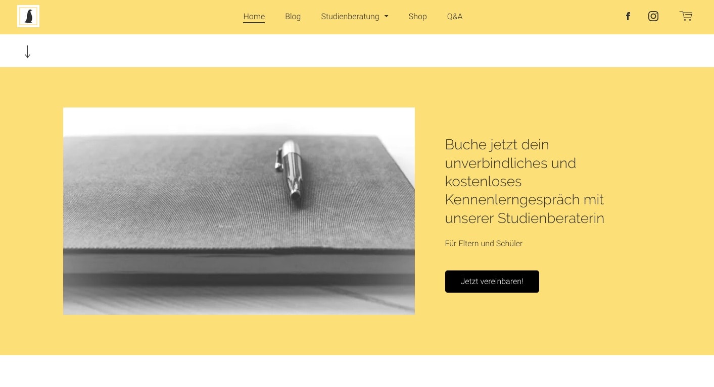 Website Deine Studienberatung