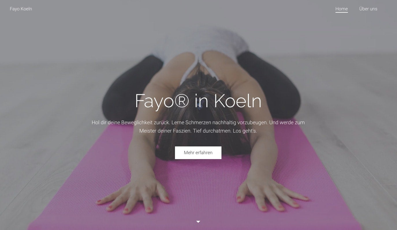 Website Fayo Köln