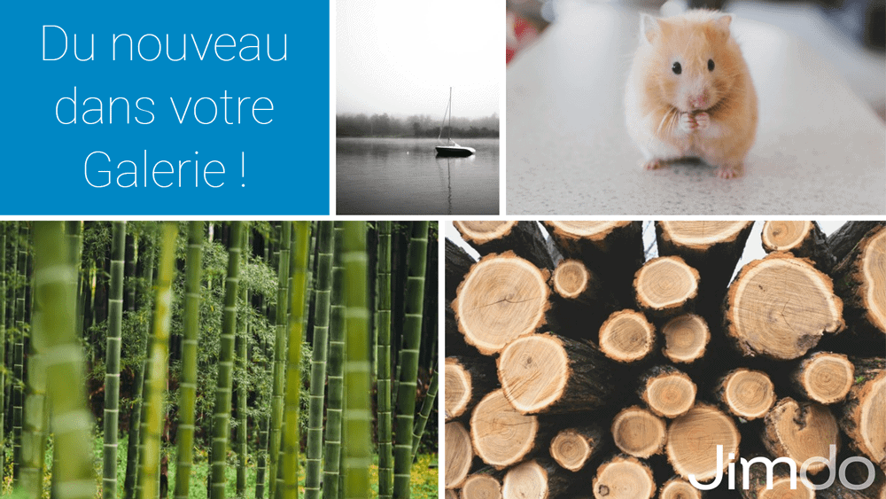 Découvrez les toutes nouvelles options de la galerie d’images !
