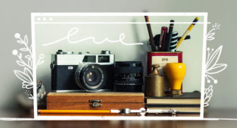 creare-siti-fotografici-dolphin