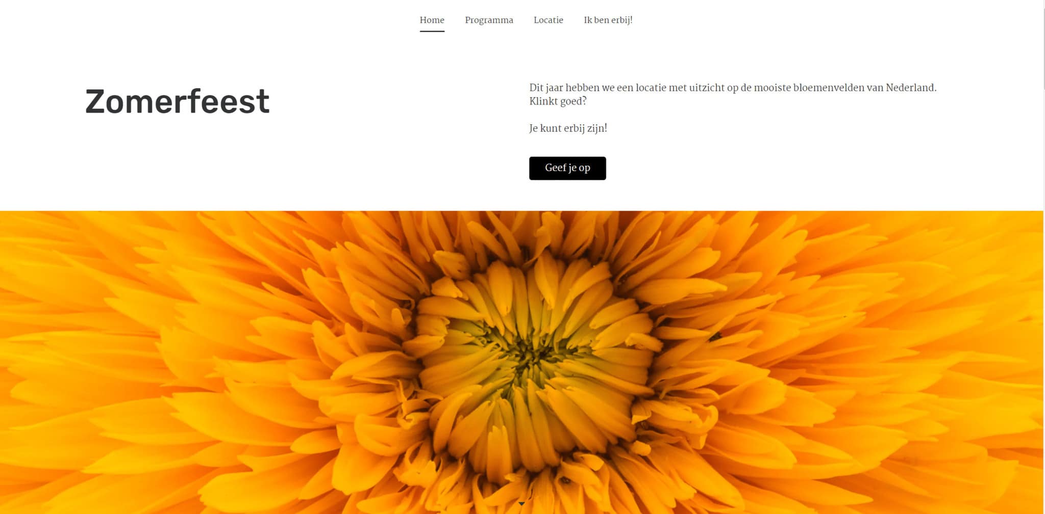 Website in oranje