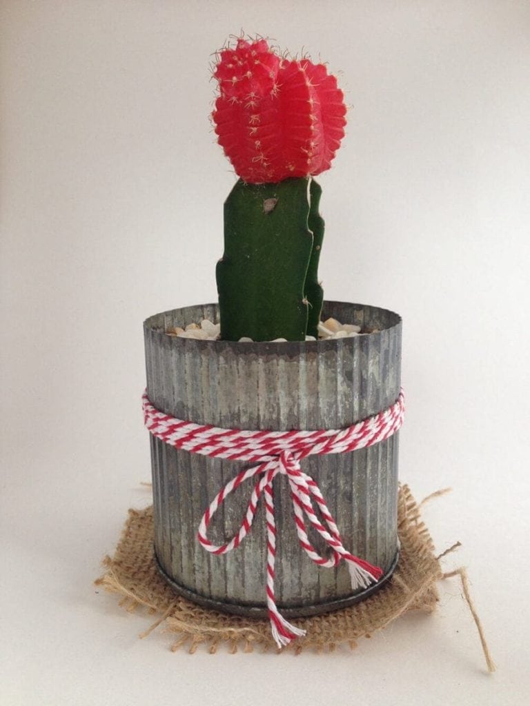 Lightbox maken voor productfoto's