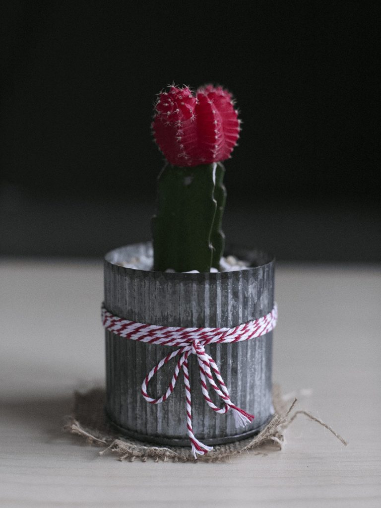 Lightbox maken voor productfoto's