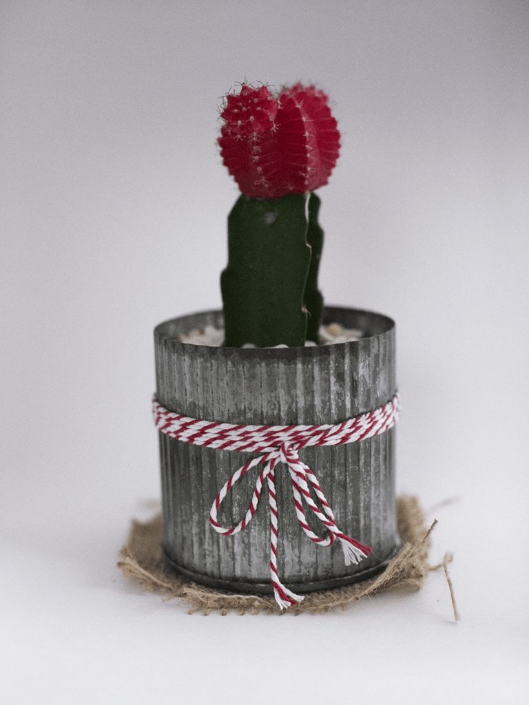 Lightbox maken voor productfoto's