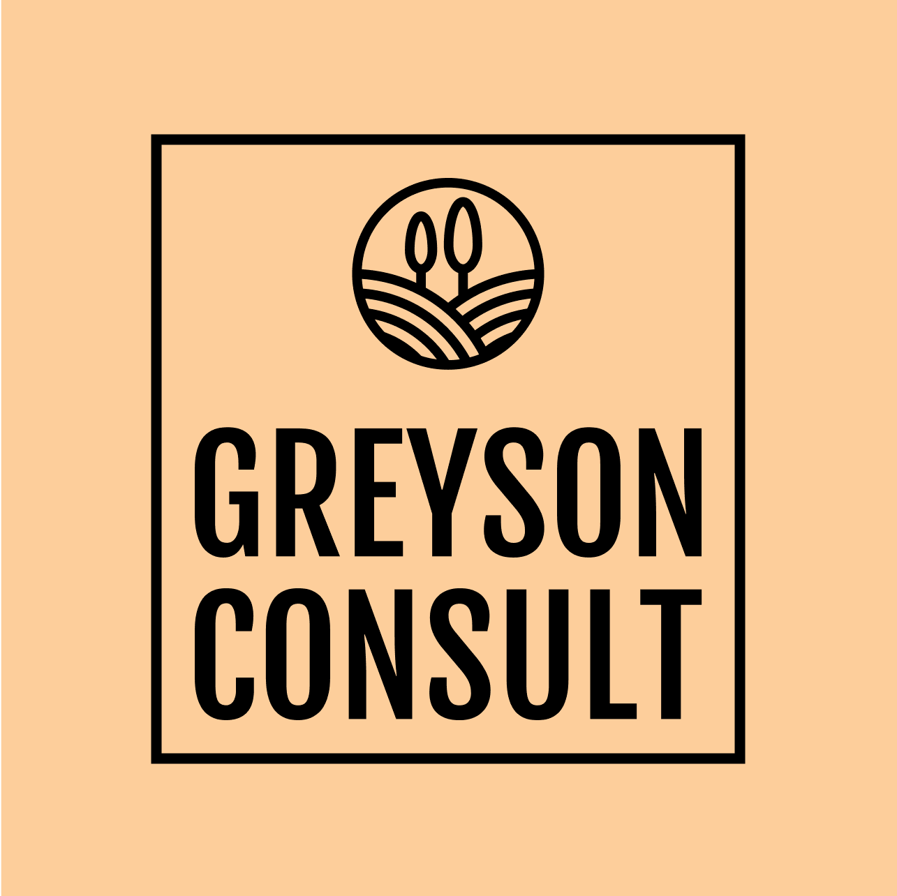 Template for a modern consultant logo